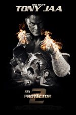 دانلود فیلم The Protector 2 2013 دانلود فیلم The Protector 2 2013