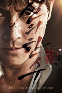 دانلود فیلم The Divine Move 2014 دانلود فیلم The Divine Move 2014