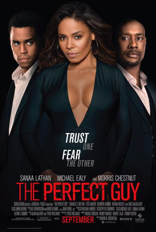 دانلود فیلم The Perfect Guy 2015 با زیرنویس چسبیده