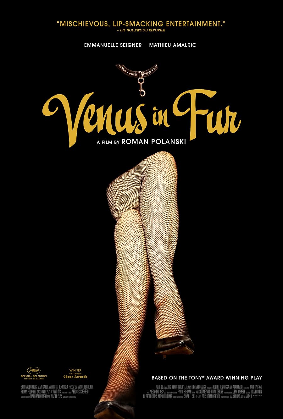 دانلود فیلم Venus in Fur 2013 دانلود فیلم Venus in Fur 2013